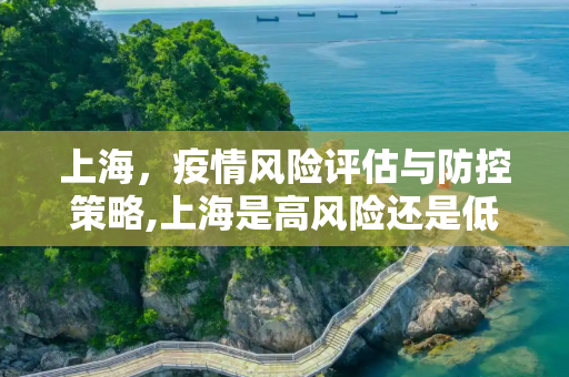 上海，疫情风险评估与防控策略,上海是高风险还是低风险地区