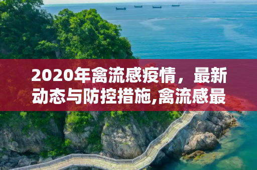 2020年禽流感疫情，最新动态与防控措施,禽流感最新消息2020
