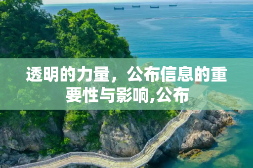 透明的力量，公布信息的重要性与影响,公布