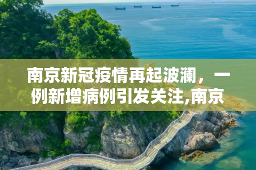 南京新冠疫情再起波澜，一例新增病例引发关注,南京又出现一例新冠