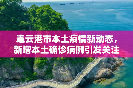 连云港市本土疫情新动态，新增本土确诊病例引发关注,连云港新增本土确诊