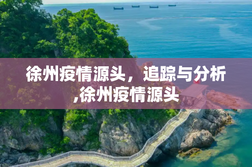 徐州疫情源头，追踪与分析,徐州疫情源头