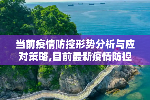 当前疫情防控形势分析与应对策略,目前最新疫情防控形势