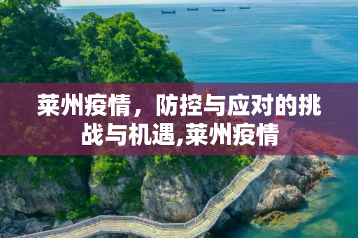 莱州疫情，防控与应对的挑战与机遇,莱州疫情