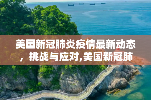 美国新冠肺炎疫情最新动态，挑战与应对,美国新冠肺炎最新消息