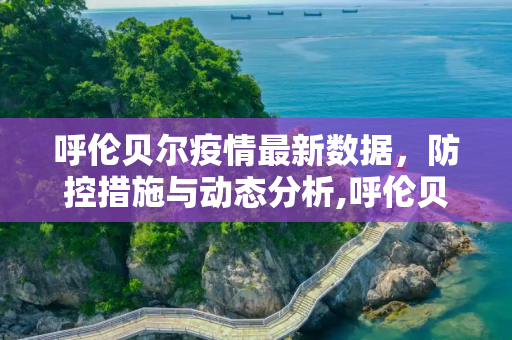 呼伦贝尔疫情最新数据，防控措施与动态分析,呼伦贝尔疫情最新数据