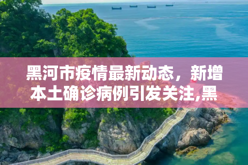 黑河市疫情最新动态，新增本土确诊病例引发关注,黑河新增本土确诊
