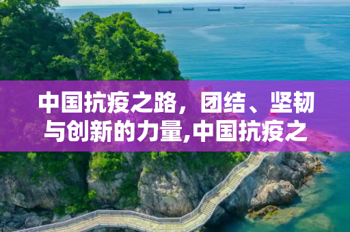中国抗疫之路，团结、坚韧与创新的力量,中国抗疫之路