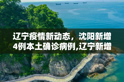 辽宁疫情新动态，沈阳新增4例本土确诊病例,辽宁新增4例本土确诊在沈阳