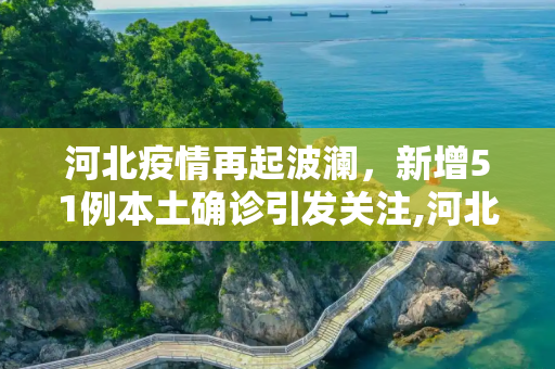 河北疫情再起波澜，新增51例本土确诊引发关注,河北新增51例本土确诊