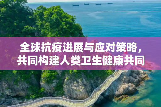 全球抗疫进展与应对策略，共同构建人类卫生健康共同体,全球抗疫进展与应对策略
