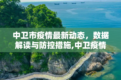 中卫市疫情最新动态，数据解读与防控措施,中卫疫情最新数据
