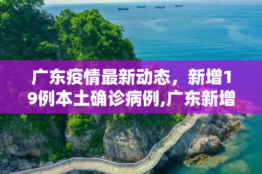 广东疫情最新动态，新增19例本土确诊病例,广东新增19例本土确诊