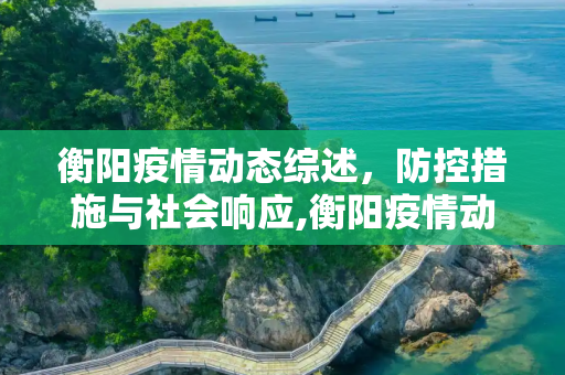 衡阳疫情动态综述，防控措施与社会响应,衡阳疫情动态综述