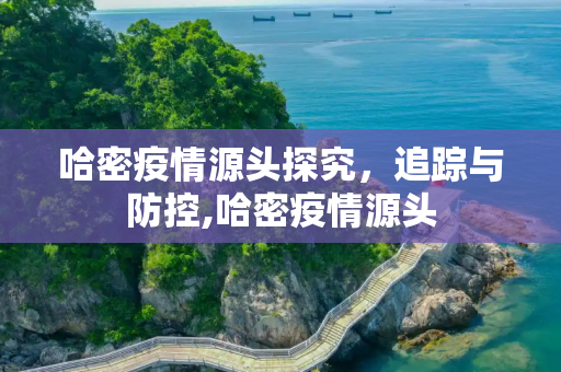 哈密疫情源头探究，追踪与防控,哈密疫情源头