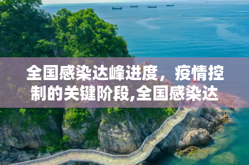 全国感染达峰进度，疫情控制的关键阶段,全国感染达峰进度