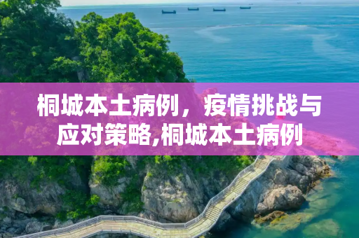 桐城本土病例，疫情挑战与应对策略,桐城本土病例