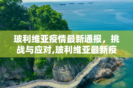 玻利维亚疫情最新通报，挑战与应对,玻利维亚最新疫情通报