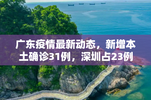 广东疫情最新动态，新增本土确诊31例，深圳占23例,广东新增本土确诊31例深圳23例