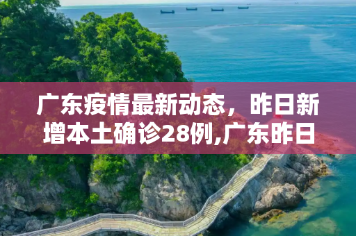 广东疫情最新动态，昨日新增本土确诊28例,广东昨日新增本土确诊28例