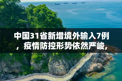 中国31省新增境外输入7例，疫情防控形势依然严峻,31省新增境外输入7例