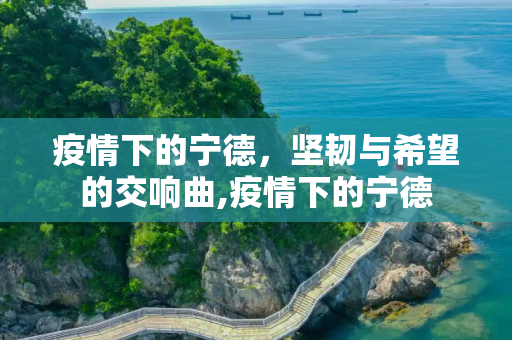 疫情下的宁德，坚韧与希望的交响曲,疫情下的宁德