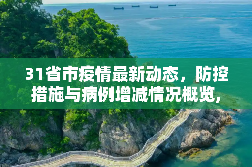 31省市疫情最新动态，防控措施与病例增减情况概览,31省市新增疫情最新消息