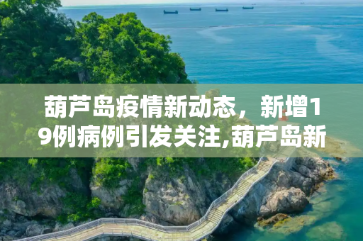 葫芦岛疫情新动态，新增19例病例引发关注,葫芦岛新增19例