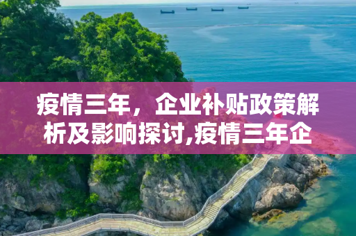 疫情三年，企业补贴政策解析及影响探讨,疫情三年企业补贴政策解析及影响探讨