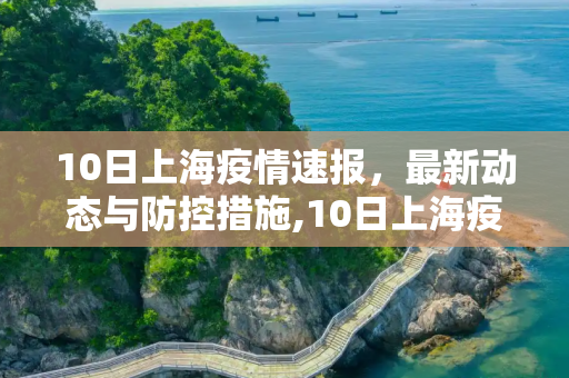 10日上海疫情速报，最新动态与防控措施,10日上海疫情速报
