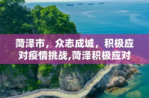 菏泽市，众志成城，积极应对疫情挑战,菏泽积极应对疫情
