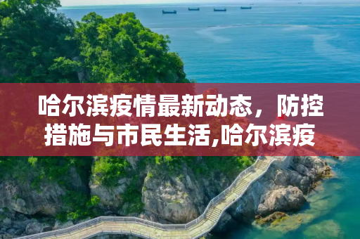 哈尔滨疫情最新动态，防控措施与市民生活,哈尔滨疫情最新动态