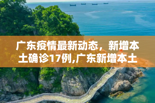 广东疫情最新动态，新增本土确诊17例,广东新增本土确诊17例