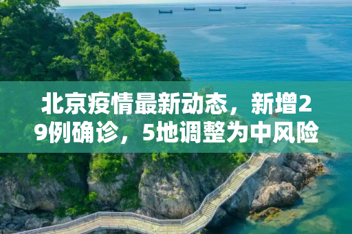 北京疫情最新动态，新增29例确诊，5地调整为中风险地区,北京新增29例确诊5地升中风险