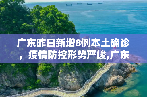 广东昨日新增8例本土确诊，疫情防控形势严峻,广东昨日新增8例本土确诊