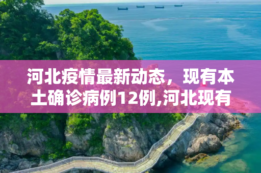河北疫情最新动态，现有本土确诊病例12例,河北现有本土确诊病例12例
