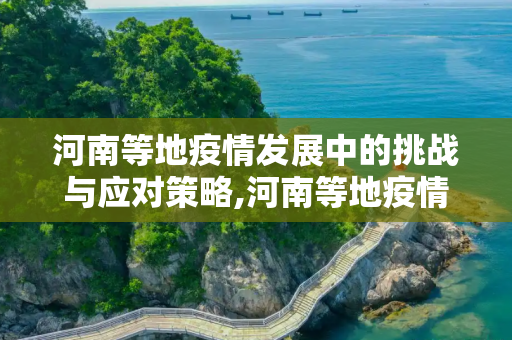 河南等地疫情发展中的挑战与应对策略,河南等地疫情发展中