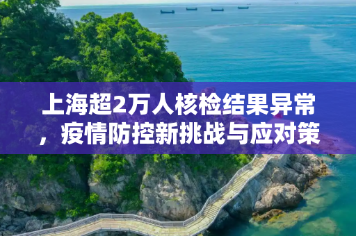 上海超2万人核检结果异常，疫情防控新挑战与应对策略,上海超2万人核检结果异常