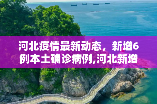 河北疫情最新动态，新增6例本土确诊病例,河北新增6例本土确诊