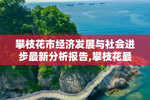 攀枝花市经济发展与社会进步最新分析报告,攀枝花最新分析报告