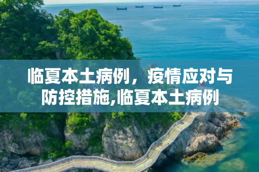临夏本土病例，疫情应对与防控措施,临夏本土病例