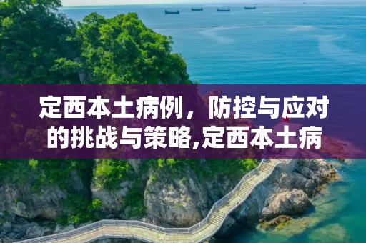定西本土病例，防控与应对的挑战与策略,定西本土病例