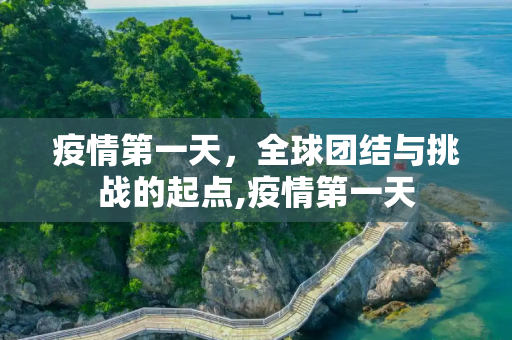 疫情第一天，全球团结与挑战的起点,疫情第一天