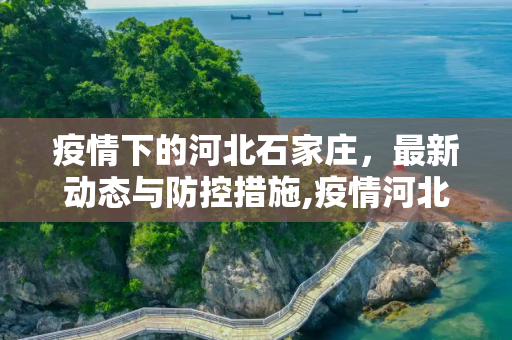 疫情下的河北石家庄，最新动态与防控措施,疫情河北石家庄最新