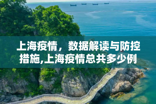 上海疫情，数据解读与防控措施,上海疫情总共多少例