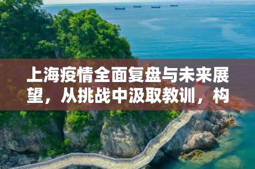 上海疫情全面复盘与未来展望，从挑战中汲取教训，构筑更坚固的防线,上海疫情全面复盘与未来展望