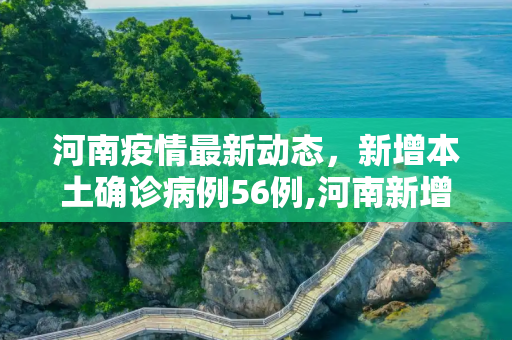 河南疫情最新动态，新增本土确诊病例56例,河南新增本土确诊56例