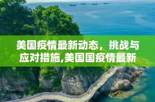 美国疫情最新动态，挑战与应对措施,美国国疫情最新相关消息