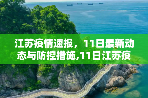 江苏疫情速报，11日最新动态与防控措施,11日江苏疫情速报