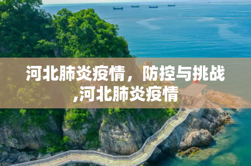 河北肺炎疫情，防控与挑战,河北肺炎疫情